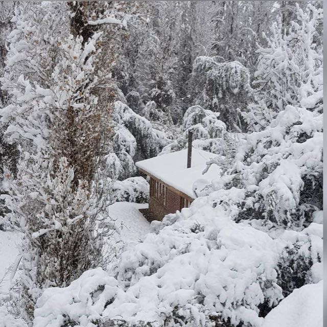 nevado