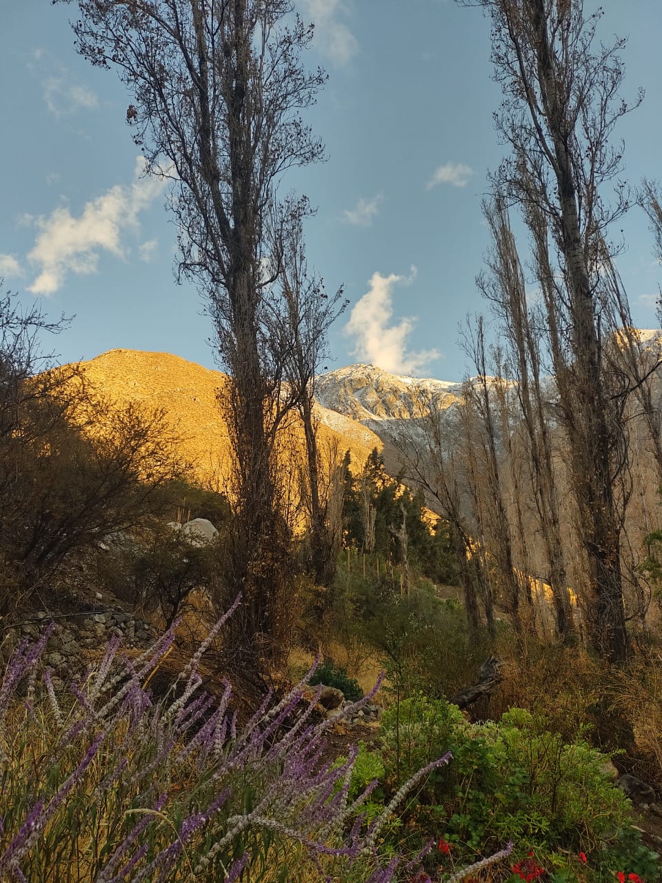 valle